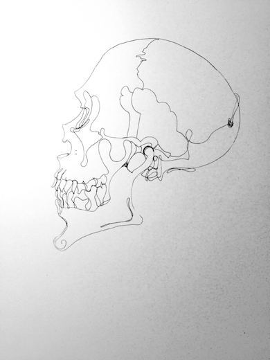 Skull, 2015