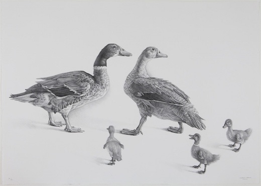 Familia de Gansos (Family of Geese), 2008