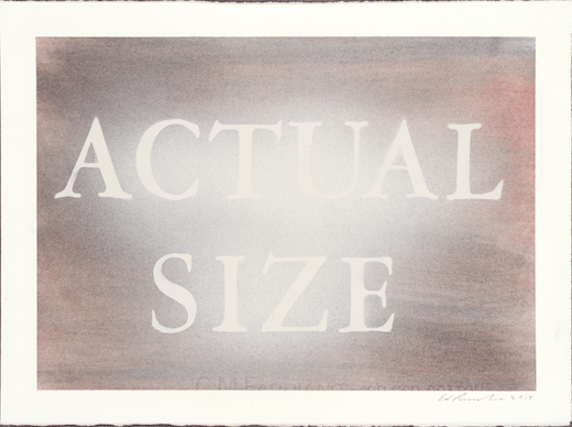 Actual Size, 2017